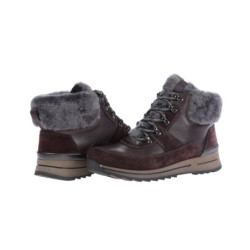 Ara ankle boots Women\'s brown