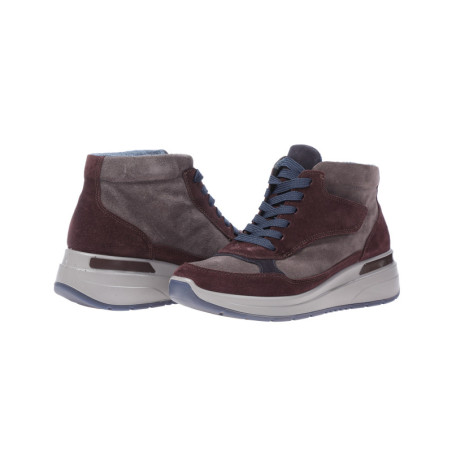 Ara ankle boots Women\'s multicolor