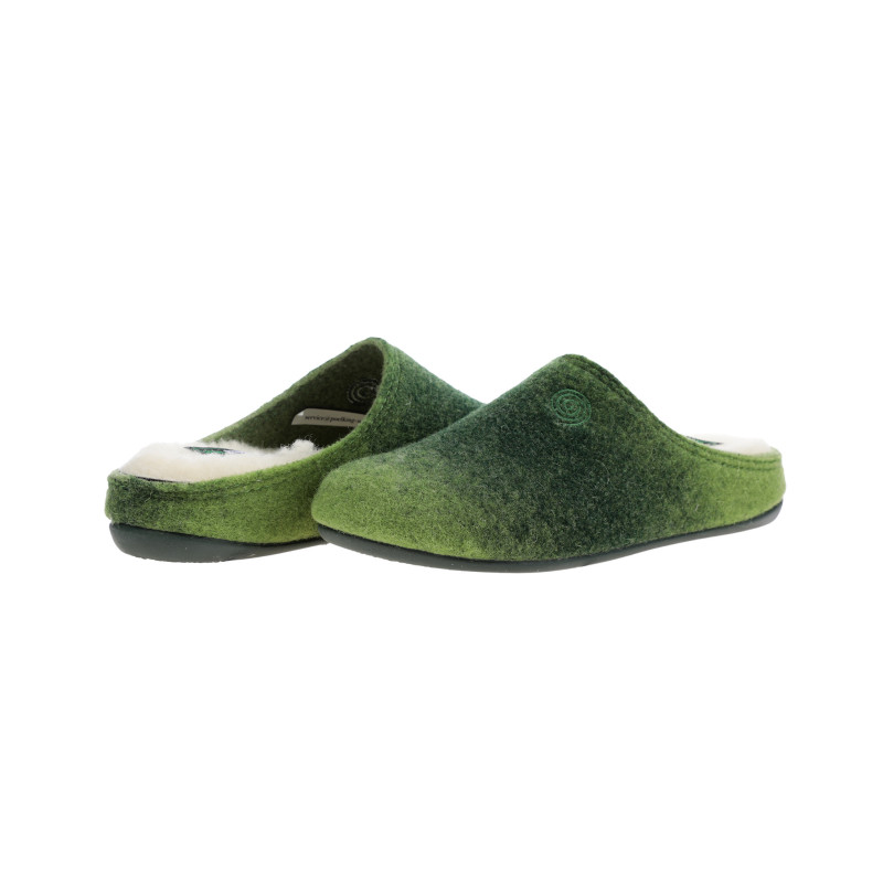 Čības Sievietēm Dr.Brinkmann 90622, zaļš