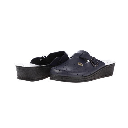 Iešļūcenes Sievietēm  FLEX 48576, zils